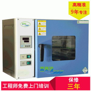 電熱鼓風干燥箱_廠家直銷小型實驗室烘箱高溫箱工業烤箱恒溫鼓風現貨