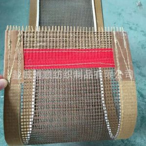 特氟龍高溫膠布_環(huán)保烘干網(wǎng)帶特氟龍高溫膠布廠家直銷(xiāo)特氟龍網(wǎng)帶
