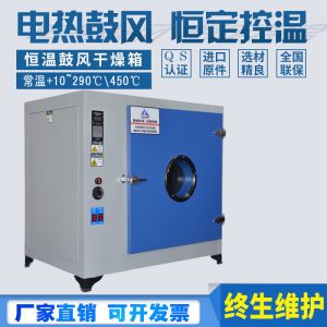 廠家直供電熱鼓風干燥箱恒溫干燥烘箱實驗室工業(yè)商用烤箱老化箱